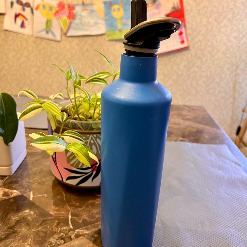 Azure Brumate Rehydration Stainless Steel Water Bottle with Flip-Top Cap